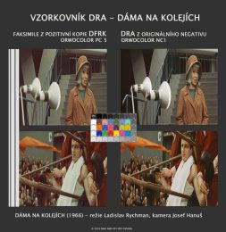 VZORKY-NAKI-DNK-9w-995x1024